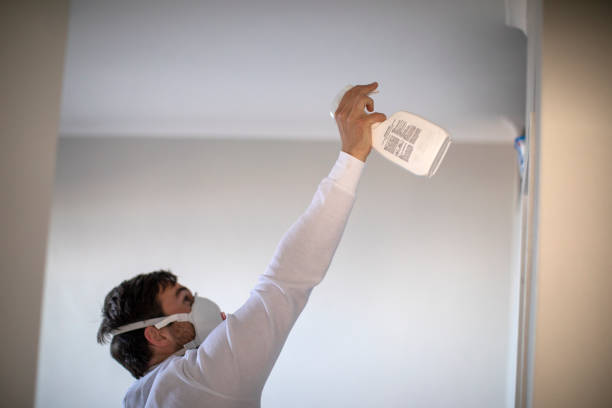 Best Professional Mold Removal  in Centreville, AL
